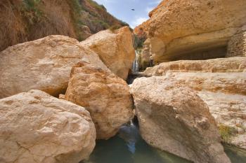 Bird above a falls. The mountain river in reserve on the Dead Sea in Israel