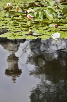 The vase reflected in water of a park pond