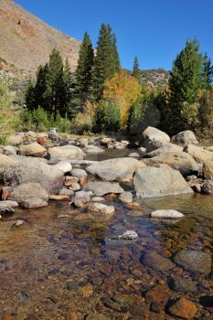 Small stream in mountains of California. Autumn clear midday