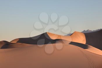 Clear graphic shapes of sand dunes at sunrise. California, Death Valley
