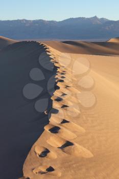 Sand dunes at Mesquite Flat, California. Tourists have left deep marks on crumbling sand