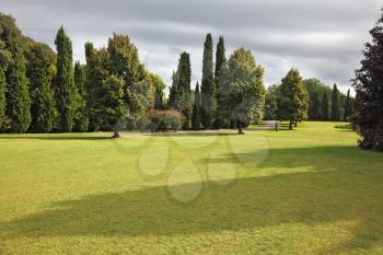 Huge yellowed field in a luxurious Italian park-garden Sigurta around Verona