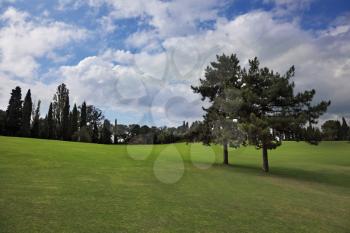 Lovely green grassy slope in a luxurious Italian park-garden Sigurta around Verona
