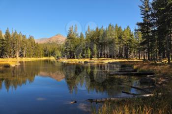 Charming shallow lake. Mountains and forest are reflected in smooth mirror of water