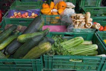  Fresh autumn vegetables and fruit in the market  