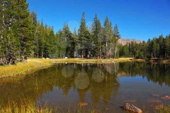 A quiet lake, surrounded by woods, in the mountains of Yosemite Park. Early autumn morning