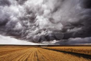 Storm front. A huge thundercloud above fields of Montana, the USA