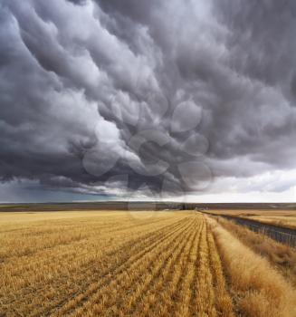 Thunderclouds above fields after harvesting. Montana, the USA