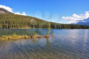 A tiny island in a lake coats. Quiet shallow lake in Banff National Park in Canada. 