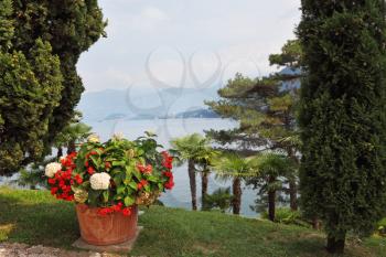 Magnificent park at the Italian villa-museum Balbyanello. Beautiful flower bed. Lake Como in the misty haze
