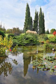 A pond with blossoming lilies. In the mirror of waters reflected cypress. Fabulously beautiful Italian garden Sigurta. 