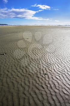 Sandy shallow on a beach of island Vancouver during ocean outflow