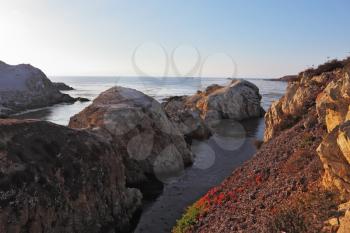 Rocky Pacific coast in the Reserve Point Lobos. Picturesque red patches of moss on the rocks