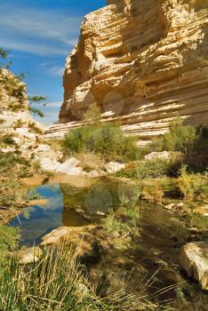 Picturesque canyon Ein-Avdat in desert Negev in Israel
