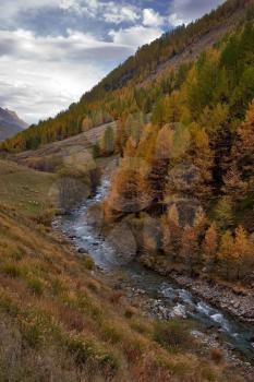 
Precipitant  Mountain river among autumn hills

