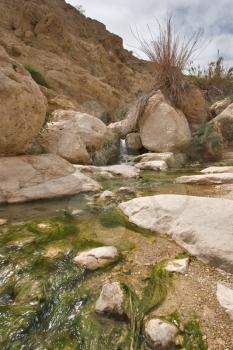  The mountain river in reserve on the Dead Sea in Israel
