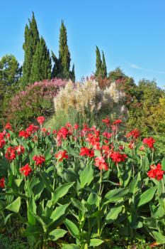 The famous Garden Park Sigurta in Italy. A colorful fllowers with red, yellow and green leaves
