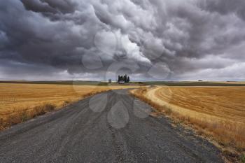 Rural soil road to fields after harvesting. Montana, the USA