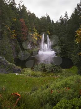A magnificent fountain jet  in the lake surrounded by a dense forest