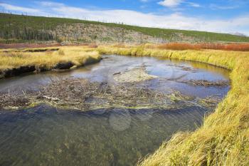 Twisting small stream on flat marshy plain