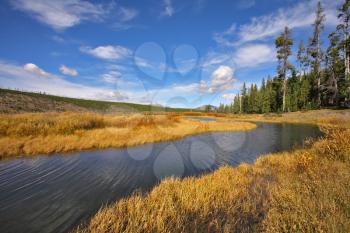 Plain, superficial stream and yellow autumn grass in park Yellowstone in the USA