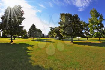 The most romantic landscape park garden in Italy. Lovely green grassy lawn at sunset