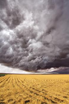 Improbable thundercloud above a field after harvesting