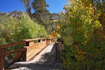  A charming wooden bridge over a stream. Autumn yellow and orange bushes and trees