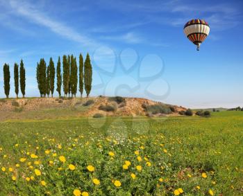 Wonderful meadow with green grass and yellow buttercups. Alley slender cypress trees beautifully into the landscape. A huge balloon flying in the blue sky