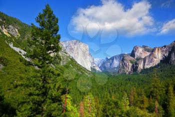 Magnificent panorama of mountains and woods of national park Yosemite, California