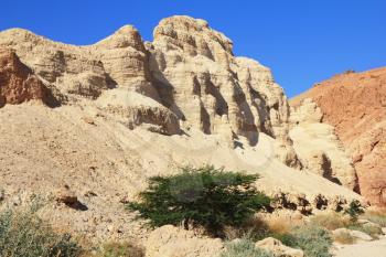  Dead Sea, Israel. Magnificent ancient mountains in the early winter morning.
