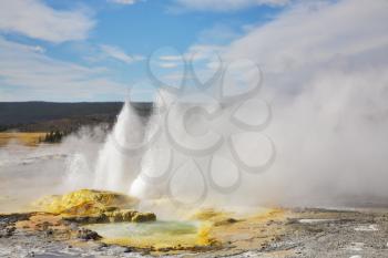 The most well-known geysers in the world in Yellowstone Park 