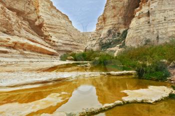  Magnificent canyon and creek.  Ein Avdat National Park in the Negev desert