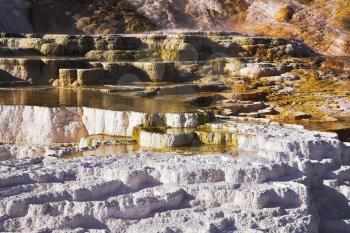 Multi-colour calcareous terraces with hot springs in Yellowstone national park