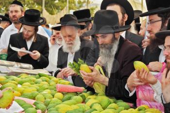 BNEI- BRAK, ISRAEL - SEPTEMBER 17, 2013: Counter with Citron. Traditional market before the holiday of Sukkot. Religious Jews in black hats and skullcaps carefully selected ritual fruits  