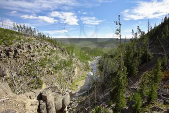 Canyon of river Gibbons in Yellowstone national park