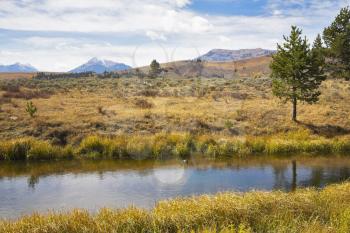 Small stream on flat marshy plain in Yellowstone national park
