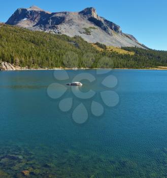 Lake Tioga on pass in an environment of picturesque mountains. Warm serene autumn day in Yosemite park of the USA, California