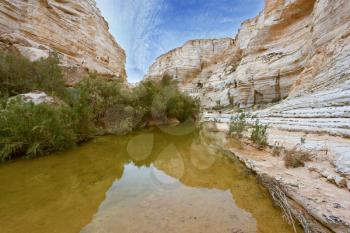  Magnificent canyon, creek and picturesque waterfall. Ein Avdat National Park in the Negev desert