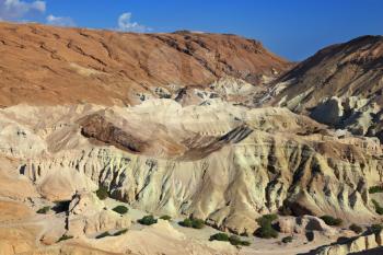 The picturesque canyon in the rocky desert near the Dead Sea. Edge of the canyon are composed of sandstone of various shades of beige and brown colors. At the bottom of the canyon trees 