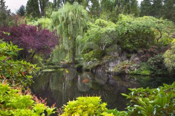  A picturesque pond with the dark water, surrounded by blossoming trees, flower beds and bushes 