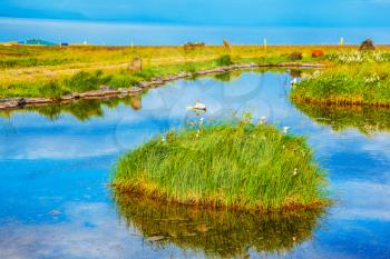 Iceland in July. Lovely pond with thermal water. On small islands grows tall grass