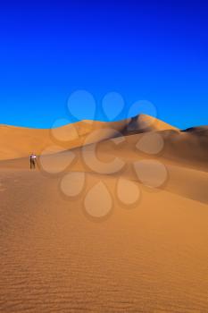 Woman - photographer in a striped T-shirt is ready to shoot with a tripod among the sand dunes. Sunrise in the orange sands of the desert Mesquite Flat, USA