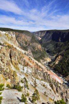 
Woody canyon of the river in well-known Yellowstone national park
