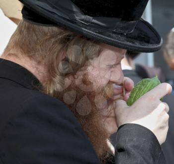 JERUSALEM, ISRAEL - SEPTEMBER 18, 2013: Traditional market before the holiday of Sukkot. The religious Jew with red beard and long side curls carefully examines ritual citrus