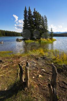  A footpath to coast of lake and small island near to coast.