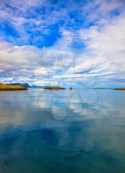 Usual summer in Iceland. Smooth water of the cold fjord reflects clouds. Usual summer in Iceland