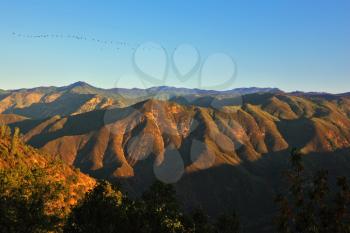 Picturesque mountains in national park. The bird's flight above pass Tioga in the early morning, on sunrise