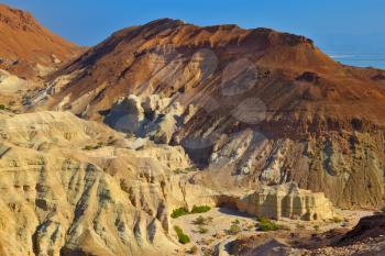 The picturesque canyon in the rocky desert near the Dead Sea. Edge of the canyon are composed of sandstone of various shades of beige and brown colors. At the bottom of the canyon trees 