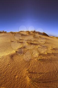 Sandy dunes on a sunset at coast of Mediterranean sea